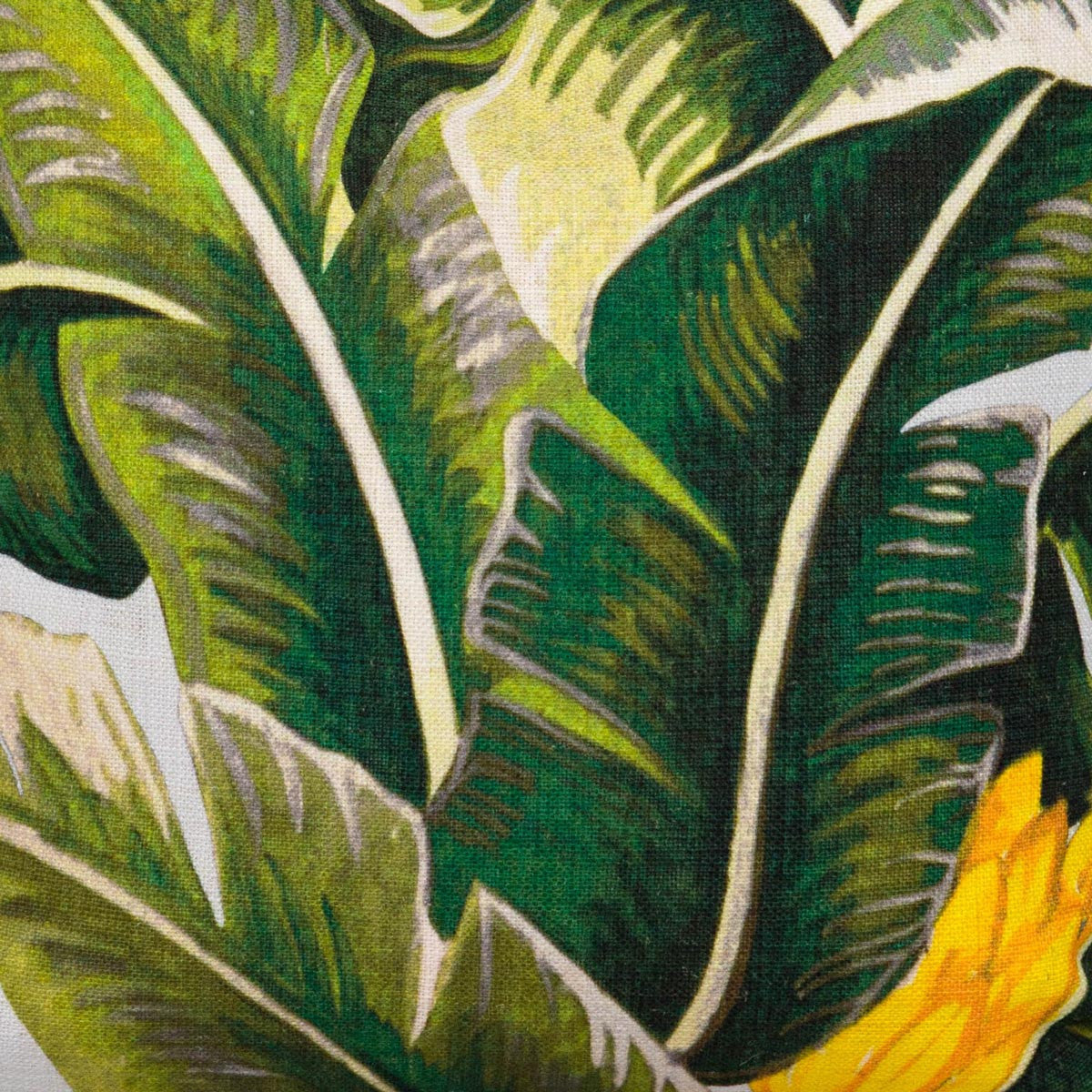 Great Shalimar - Steam